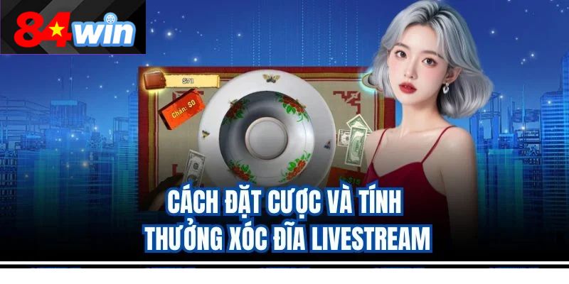 Cách đặt cược và tính thưởng xóc đĩa livestream